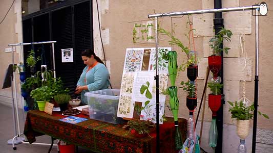 OBC - Quand mes plantes regardent par la fenêtre