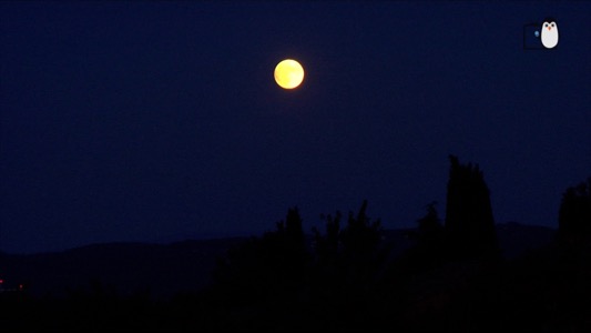 Semaine Spéciale Lune au Planétarium