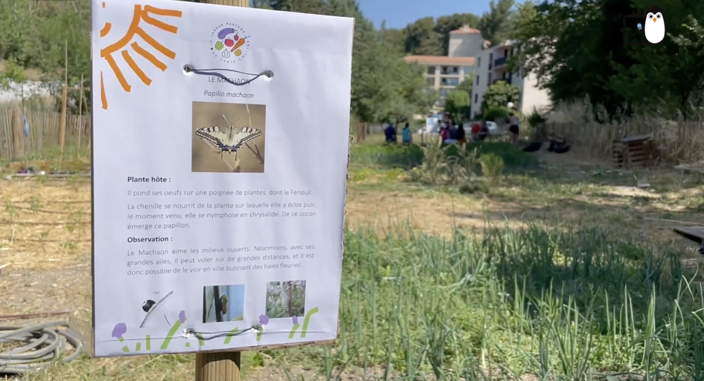 Le jardin partagé de Verte Colline