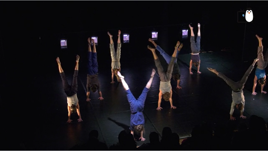 Spectacle Le Complexe de l'Autruche 