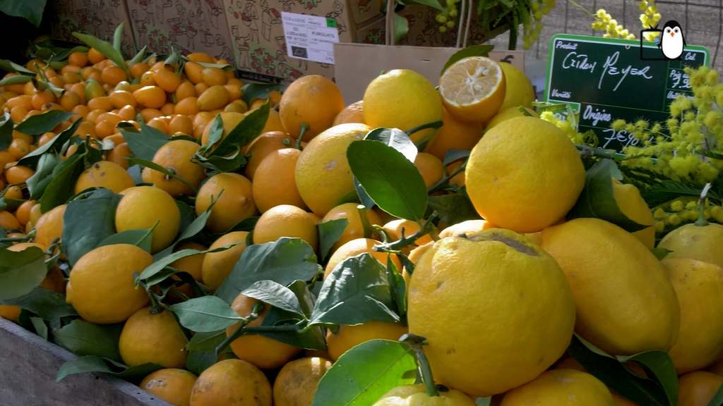 Jas en Couleurs à la fête du citron de Menton