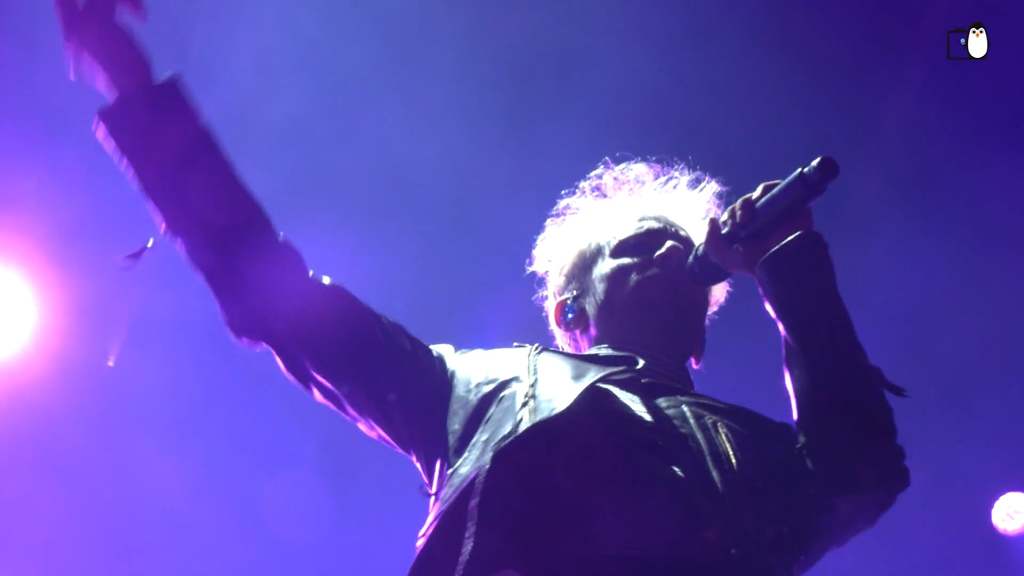 Au cœur du Super Moustache Festival : Bénévoles, artistes et public en fusion !