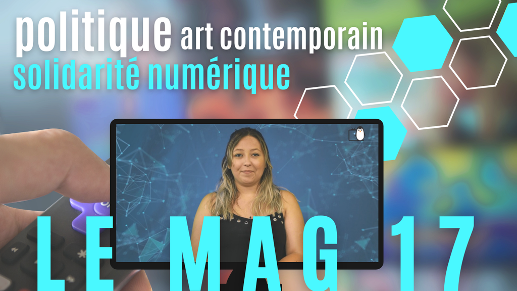 Politique, solidarité numérique et art contemporain - MAG 17