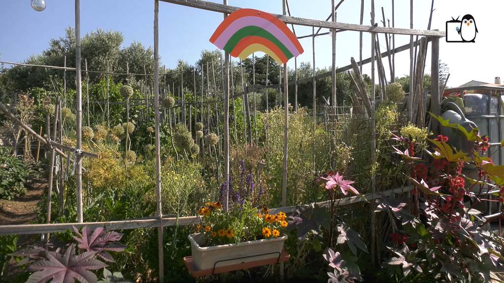 Jardin Partagés de Coudoux