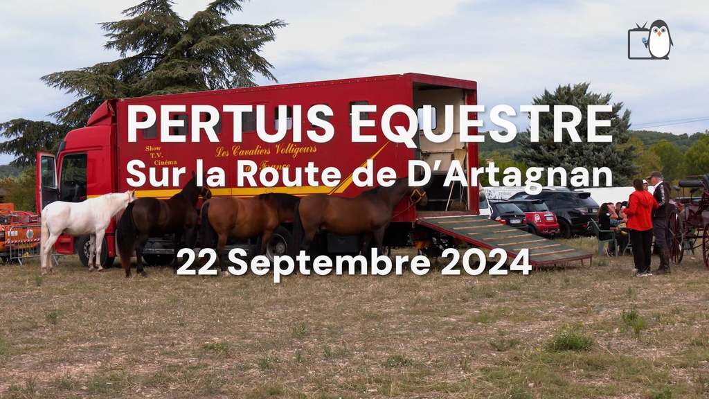 Pertuis Equestre 2024 : La fête du Cheval