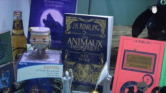 La Nuit des livres Harry Potter fait sensation à la Librairie Goulard