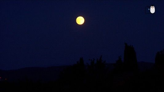 Semaine Spéciale Lune au Planétarium