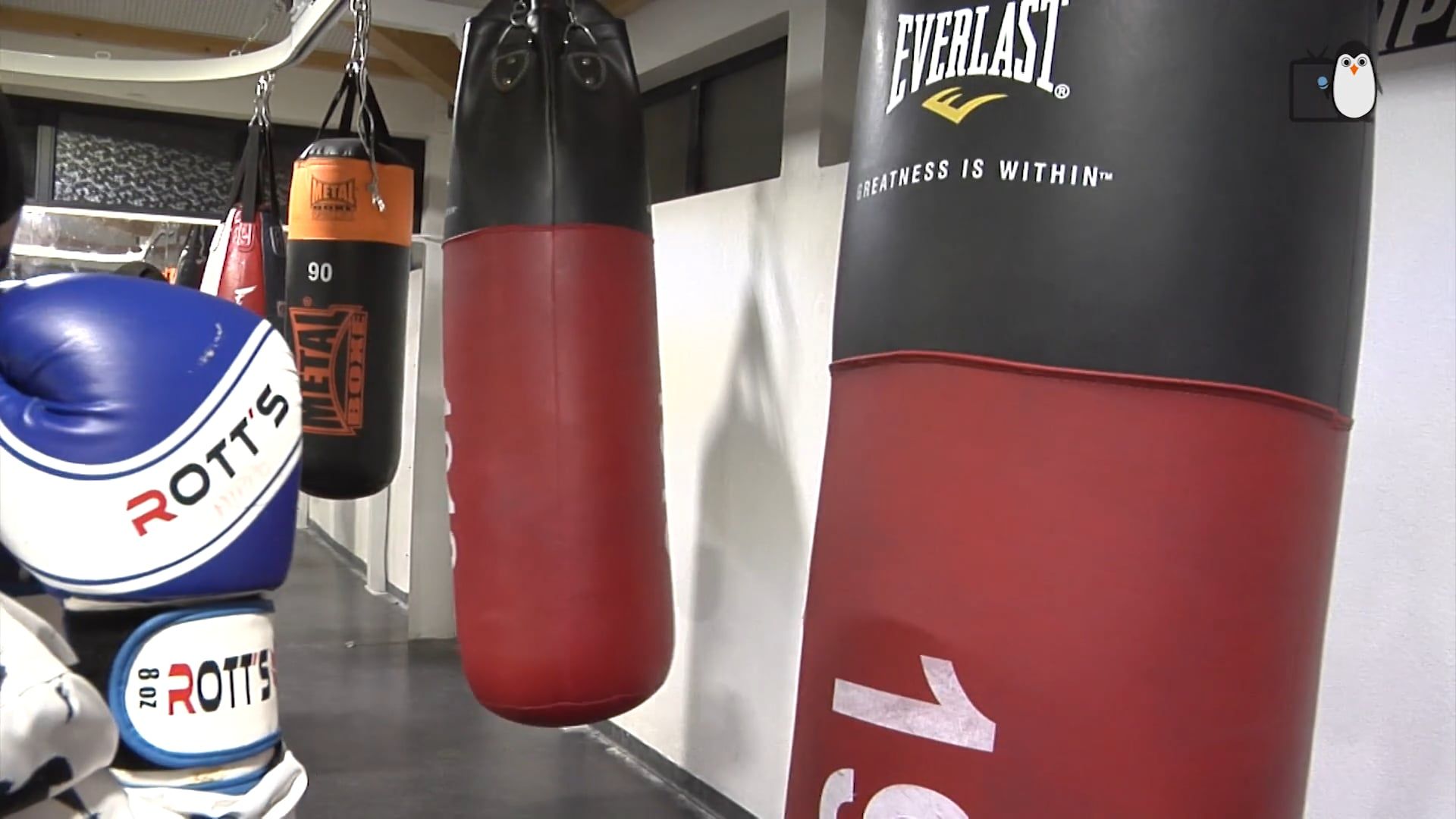 20 ans du Boxing Club des Hippos